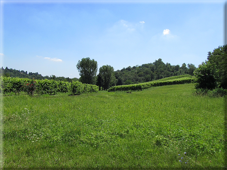 foto Paesaggi tra i Colli